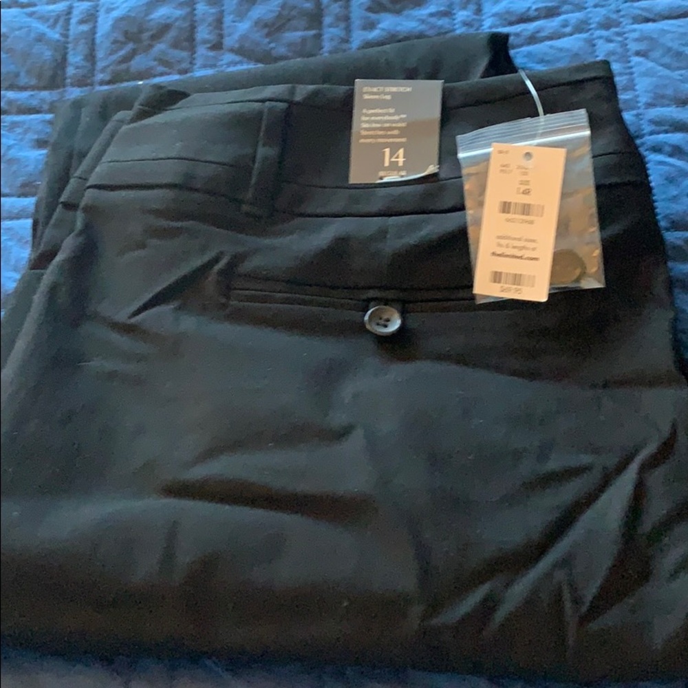 BRAND NEW - The Limited Exact Stretch Pants